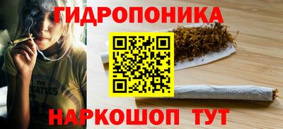 spice Чебоксары